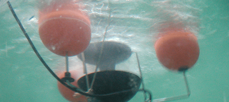 BIORECO BIORECO